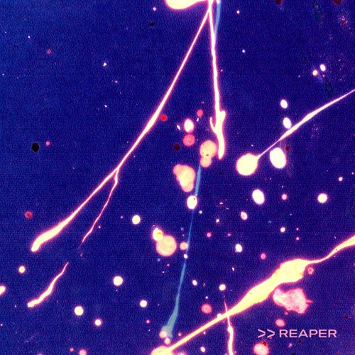 FORM - reaper (ft. Dwara)