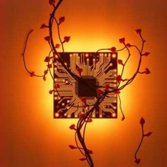 DIASPORA - Neuromorphic (Unplugged @ Tequi-la-la)