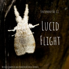 Synthphony No.0.1 - Lucid Flight LP