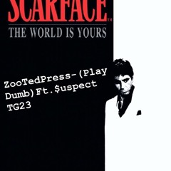 Play Dumb( Ft. suspect TG23 )
