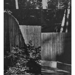 17. Cole Peters - Immolated