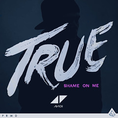 Shame On Me - Avicii (True) [faster version]