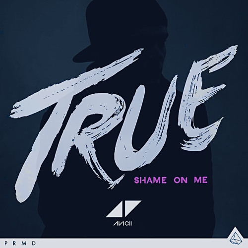 Shame On Me - Avicii (True) [faster version]