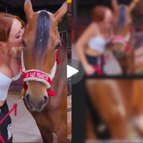 Stream Original Full new video aida victoria merlano horse video aida victoria merlano caballo