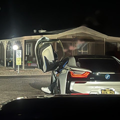 The language (foreign)