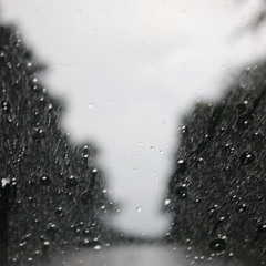 240WOP - I got bored lmfao