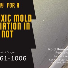 Mold Removal Multnomah Portland Oregon - Pure Maintenance Portland - 503-461-1006