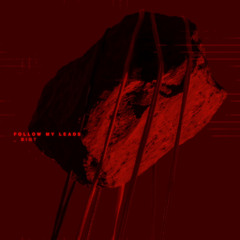 BIGT - Follow my leads