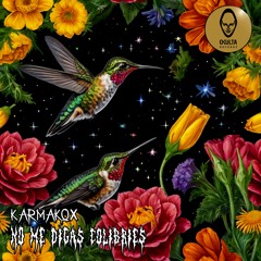 Karmakox - No Me Digas Colibríes  ( 200 Bpm )