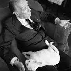 A Un Gato   Jorge Luis Borges