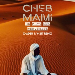 Cheb Mami - Au Pays Des Merveilles (X-ADER & V-217 Remix)