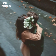VIES VIBES - Impossible Love