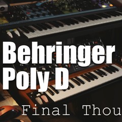 Poly D - Final Thoughts
