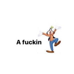 Stop dickridin