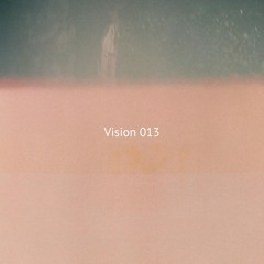 Vision 013
