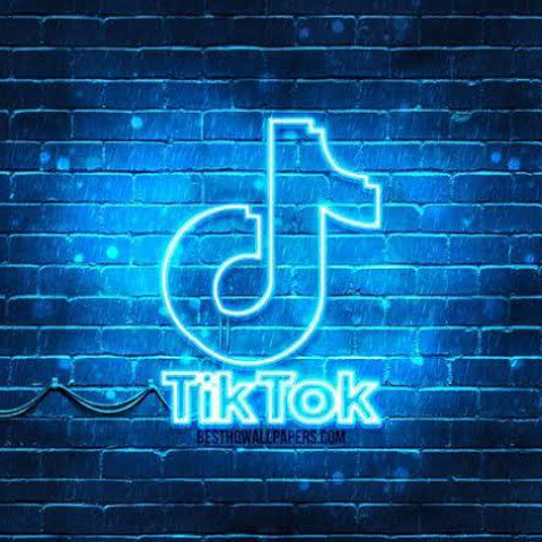 TIKTOK DUTCH 2021
