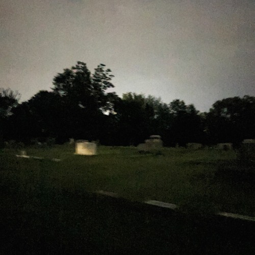 delusion ft. whatsaheart [prod. trynacommunicate]