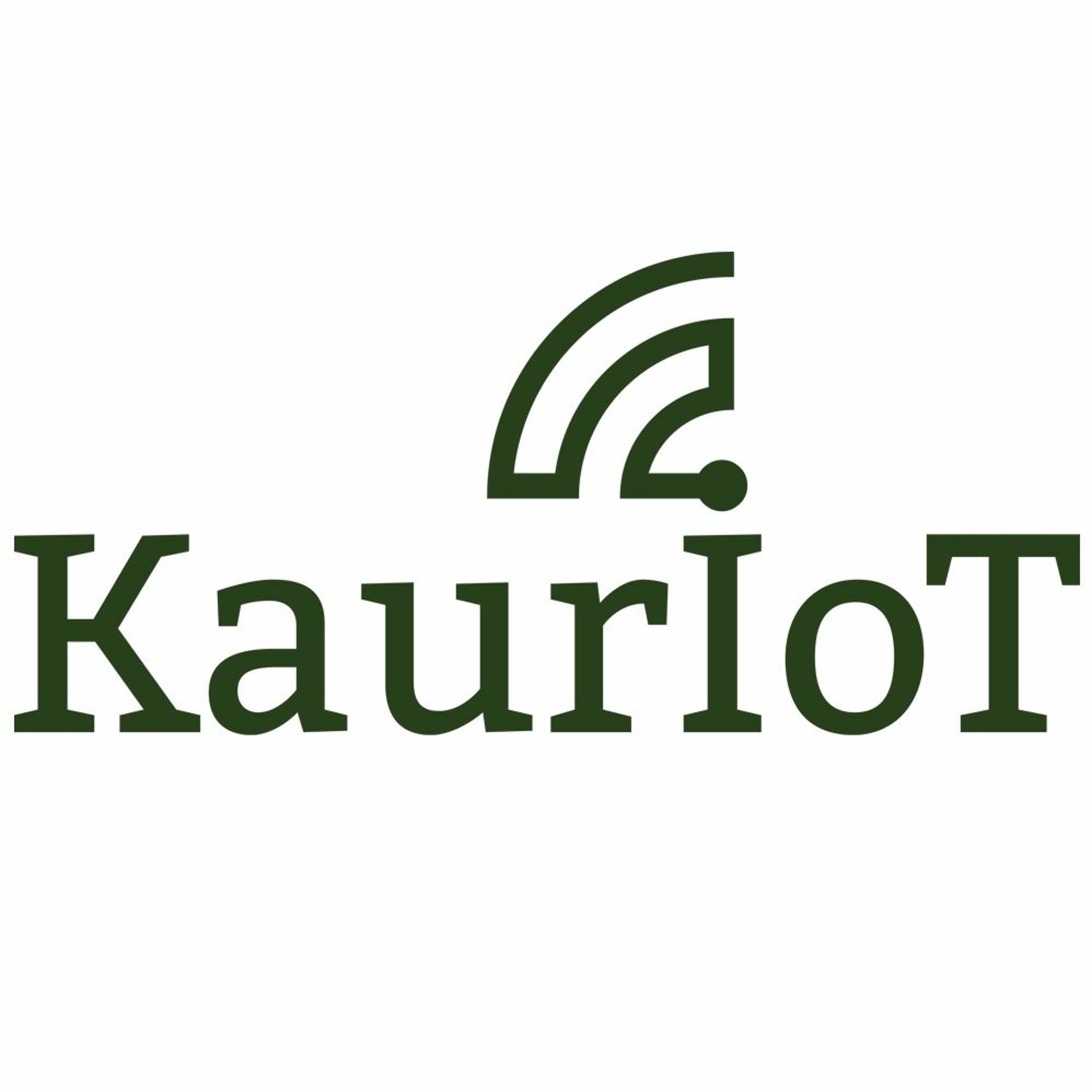 KAURIOT об IT