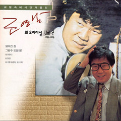 화개장터 (1988)