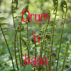 Svajonė Gru - moon gathering remastered live creation record  .wav