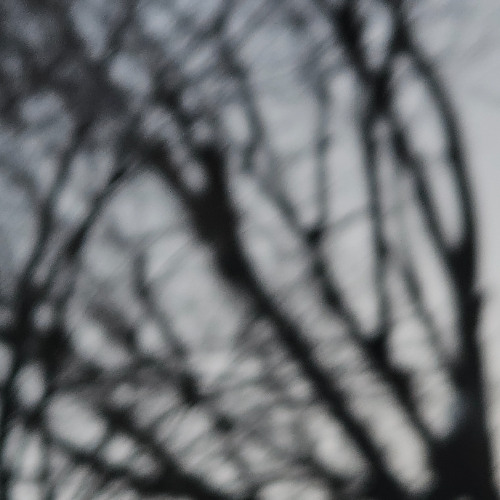 backseat paradise (prod. neverforever)