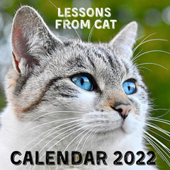 [Access] KINDLE 💖 Lessons From Cat Calendar 2022: September 2021 - December 2022 Mon