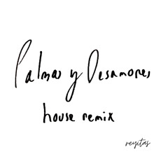Palmas y Desamores - house remix