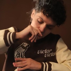 sig.carlito - plzz stop (prod. Rott) [2023]