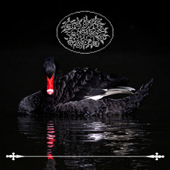 Black Swan [Prod. Omiwdz]