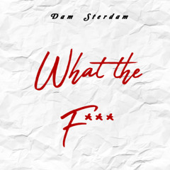 Dam Sterdam - What the F*ck