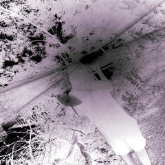 DISTANT (prod shango)