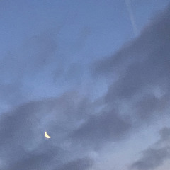 𝙽𝚒𝚝𝚎 𝚗 𝙳𝚊𝚢 [prod. scottysplash x Digital Guap]