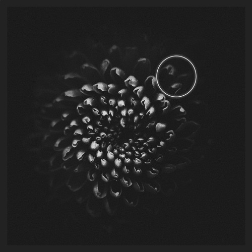 Steady State (original mix)