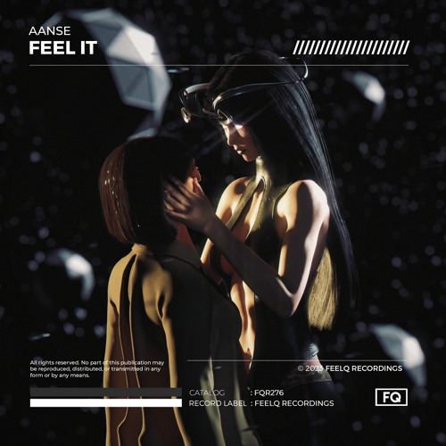 AANSE - Feel It