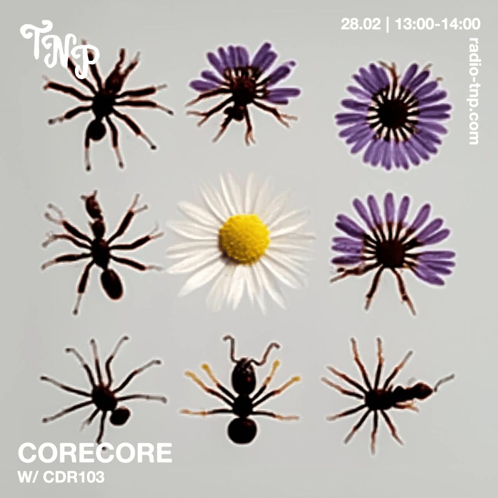 corecore w/ cdr103