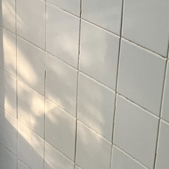 Adrift in Shadows