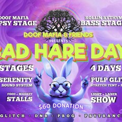 DK - Bad Hare Day 2024