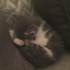 Me&Myself Live@FoxInnHanwell