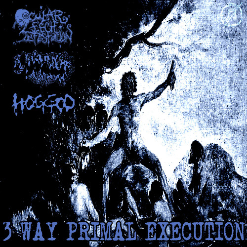 Ocular Leech Infestation side of 3 Way Primal Execution (2020 Goregrind)