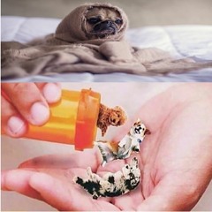 Psychotropy