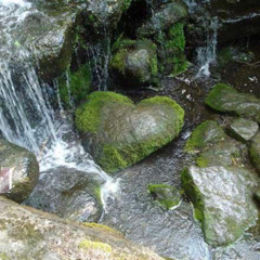 𝒹𝑜𝓃'𝓉 𝒷𝑒 𝑔𝑜𝓃𝑒