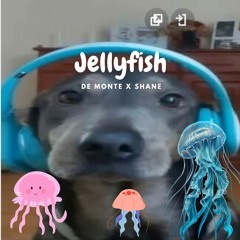jellyfish - feat. shane ༊࿐(prod. analog princess)