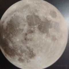 FASTeeDIO- Acid Violence.mp3