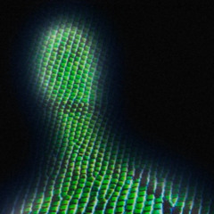 2d3Ep - Alpha Draconians