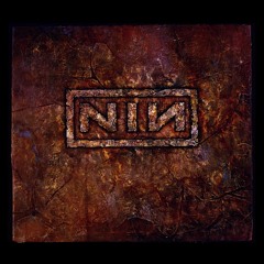 nine inch nails - the analog spiral