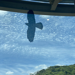 間