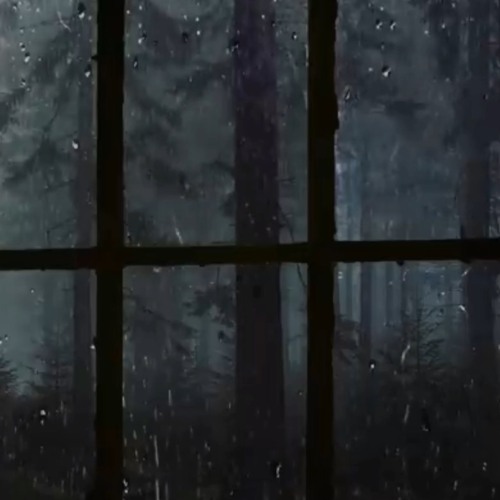 pov: your neighbor is blasting ycgma by wilbur on a rainy night
