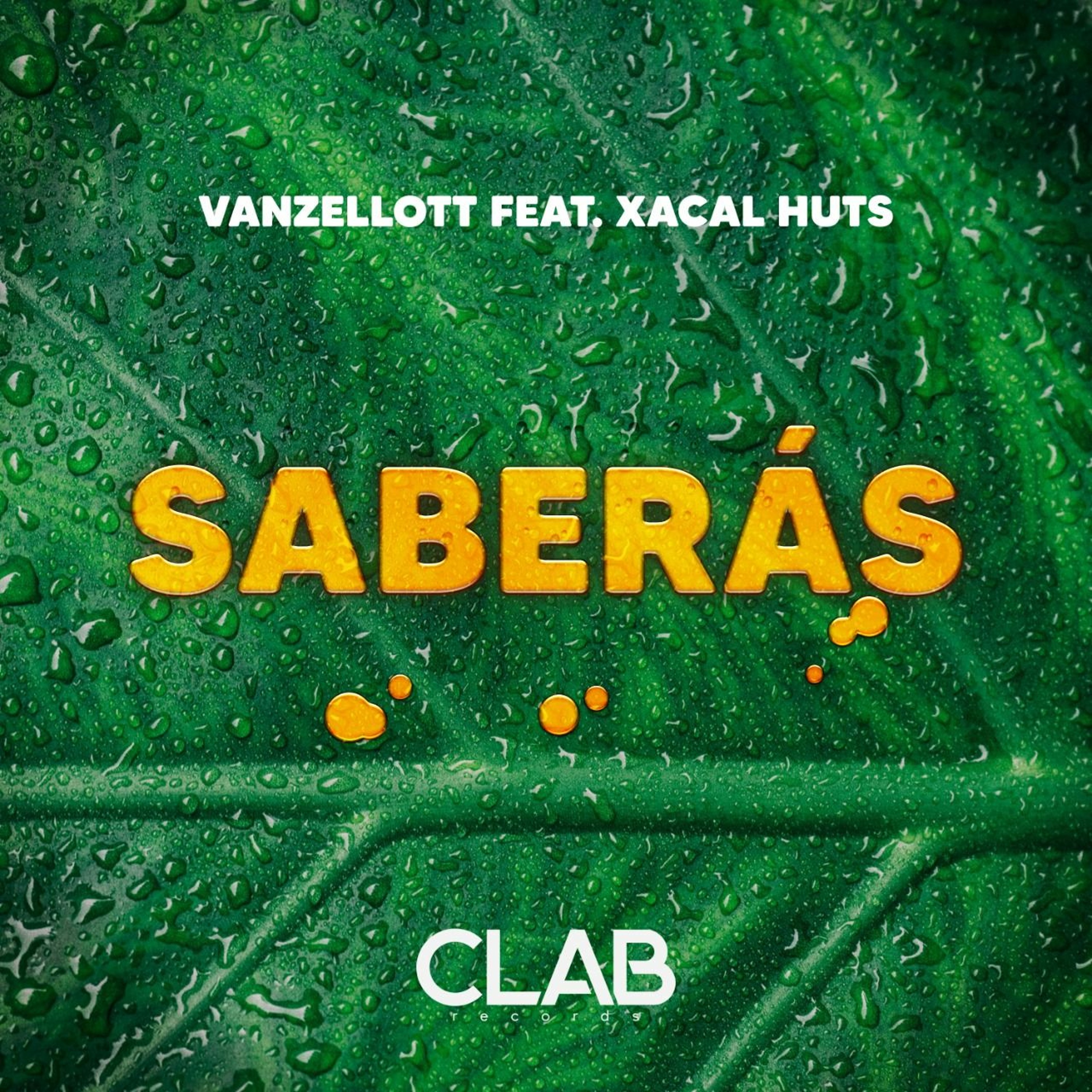 Saberás (Vanzellott Edit) episode artwork