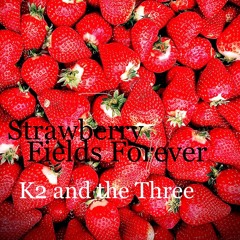 Strawberry Fields Forever ( The Beatles cover )