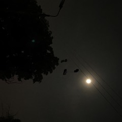 Too Young to Die - Jamiroquai x Burnistoun - Unmastered